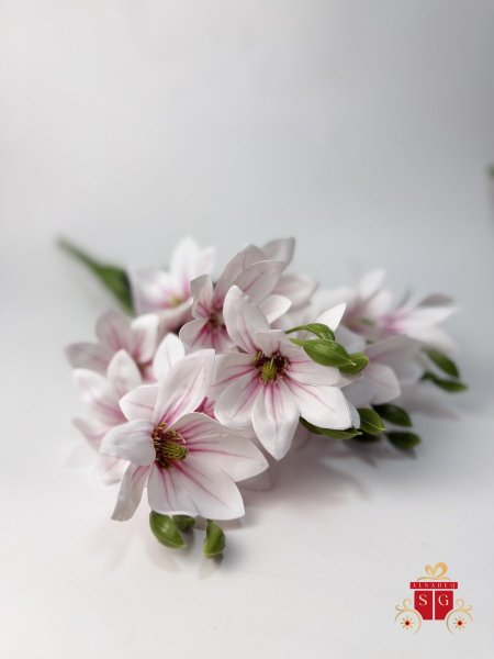زهري بارد