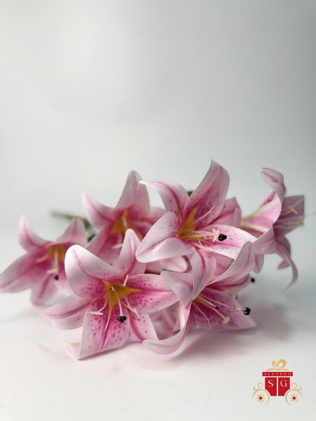 زهري فاتح