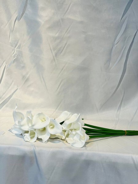 ورد كالا عروق