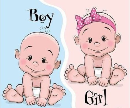 بالون تحديد جنس المولود كبير