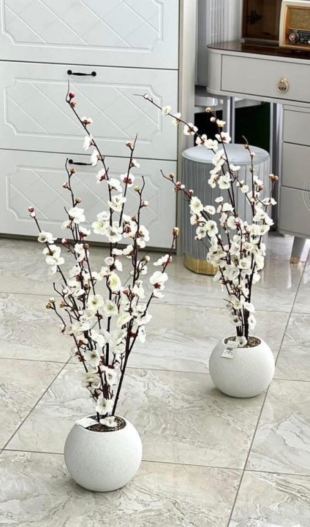 شجر لوز قوار دائري