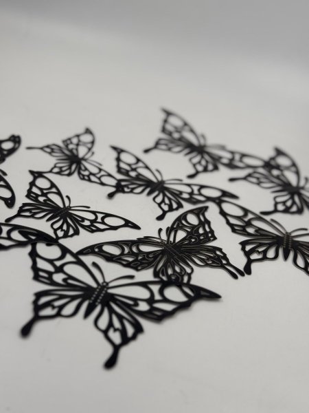 فراشة حجم وسط