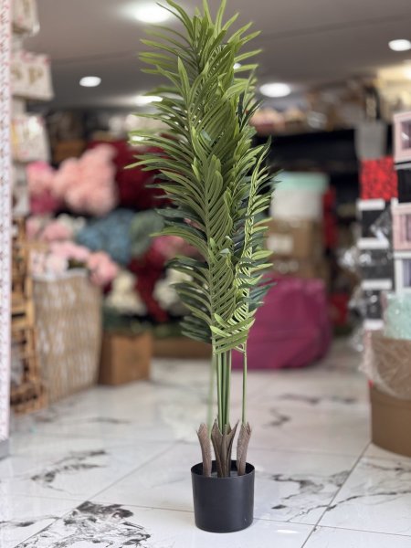 شجر زينة اخضر