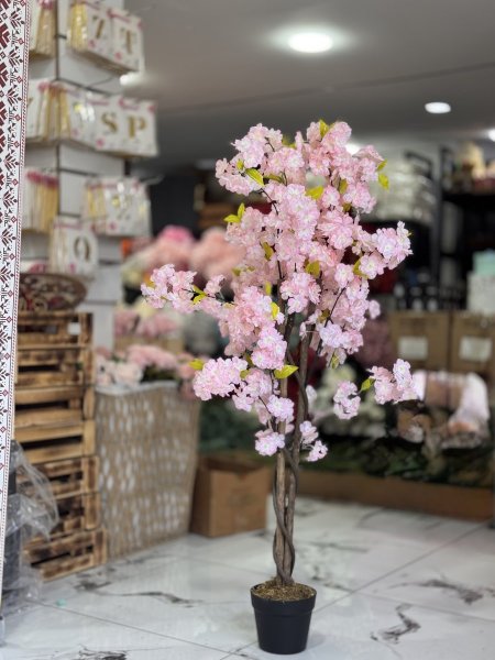 شجر لوز زهري خشب طبيعي