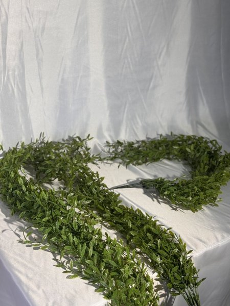 عروق خضار طويل