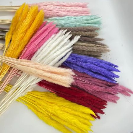 عروق ورد ريش خفيف