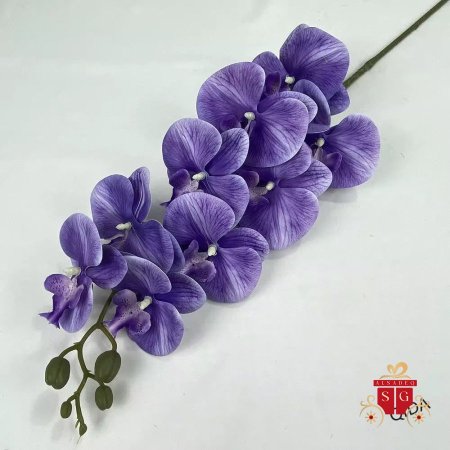 بنفسجي غامق