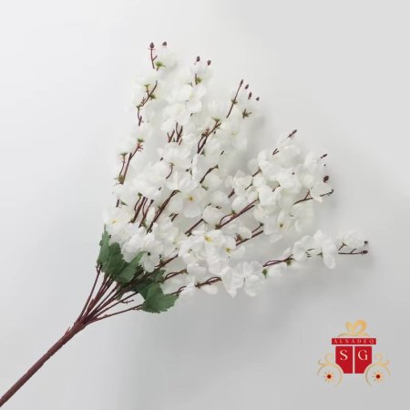 عروق لوز قصير مع نقشة