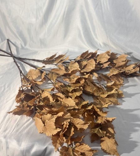 عروق ورد خريفي