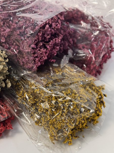 ورد مجفف الوان