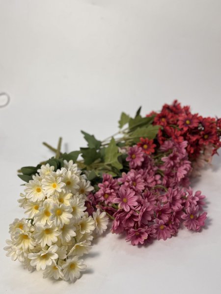 ورد ياسمين الوان