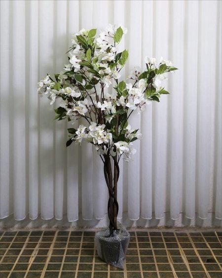 شجر ورد ابيض