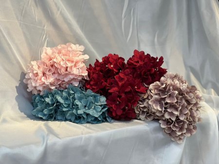 ورد قرطاسيا